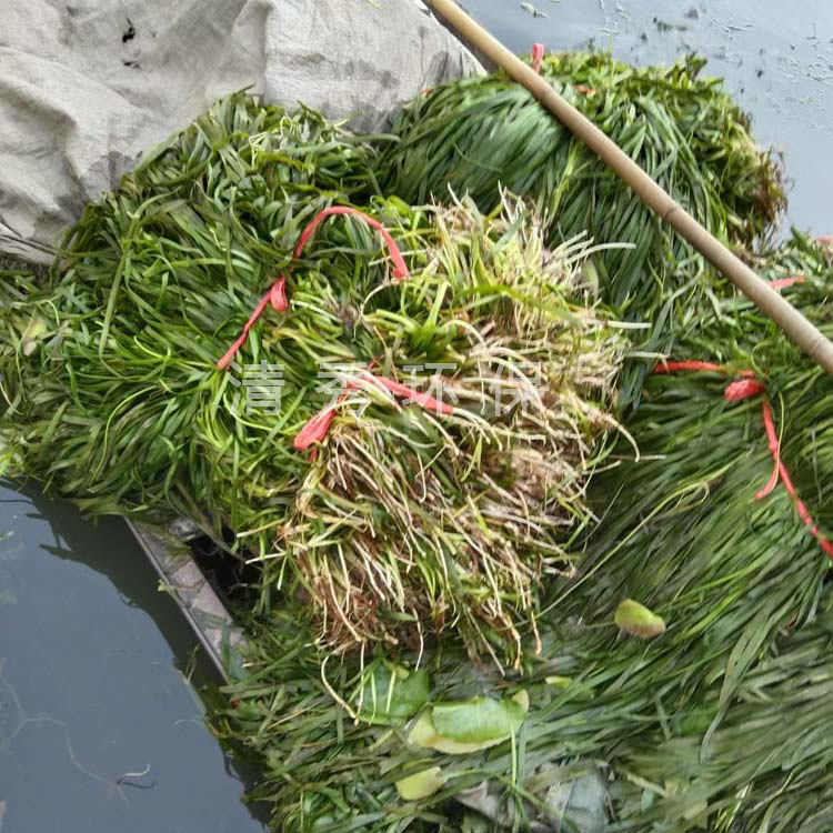 戳我试试